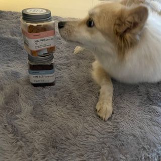끙님이 올린 리뷰 사진 2