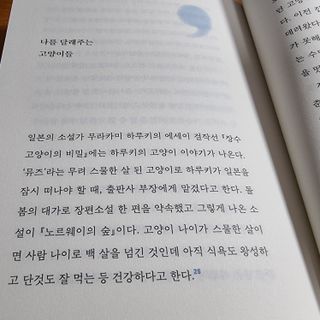 파비올라님이 올린 리뷰 사진 4