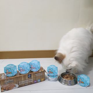 에일린님이 올린 리뷰 사진 2