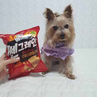 솜희님이 올린 리뷰 사진 3