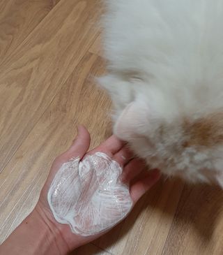 켈리심님이 올린 리뷰 사진 2