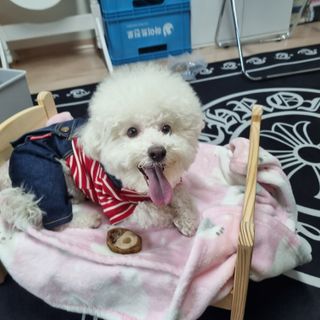 빙빙이님이 올린 리뷰 사진 2