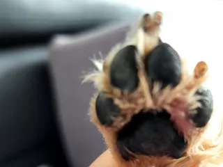 딸기맘님이 올린 리뷰 사진 4