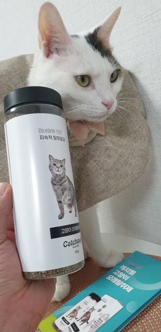 SeulonPark님이 올린 리뷰 사진 3
