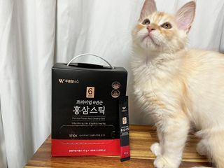[푸름웰니스] 프리미엄 6년근 홍삼스틱 3mg x 100포 — 5점을 준 리뷰어가 2022년 4월 올린 사용 사진