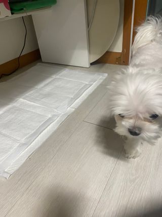 awedana님이 올린 리뷰 사진 1