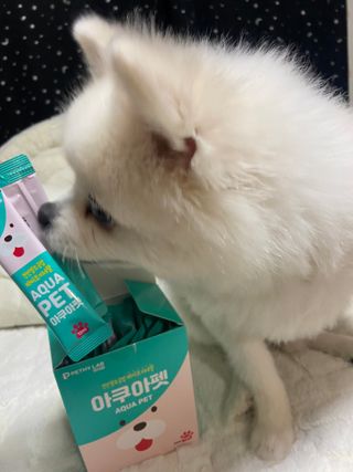 펫시랩 반려견용 액상 프리바이오틱스 아쿠아펫 — 5점을 준 리뷰어가 2021년 1월 올린 사용 사진
