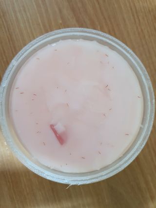 kykyyam님이 올린 리뷰 사진 1
