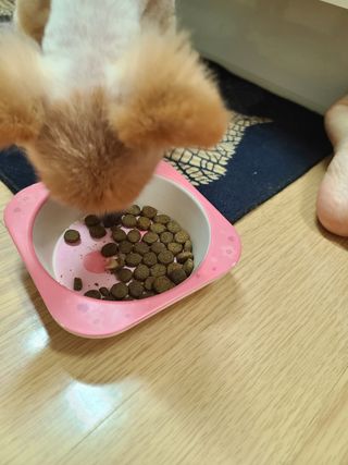 다솜다빈이아빠님이 올린 리뷰 사진 4