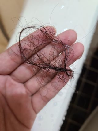 반비님이 올린 리뷰 사진 3