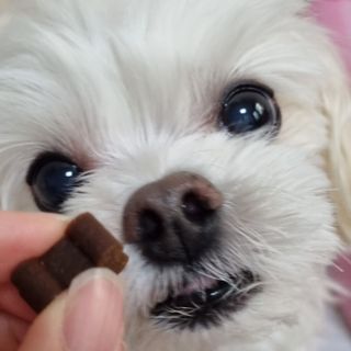youngran님이 올린 리뷰 사진 2
