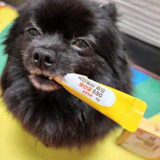 작은곰님이 올린 리뷰 사진 2