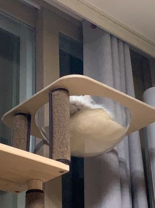 례진님이 올린 리뷰 사진 3