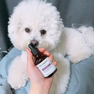 지혜님이 올린 리뷰 사진 1