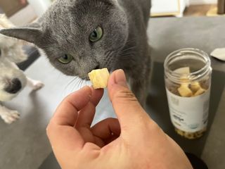 부르르펫 야미트릿 틸라피아 60g — 5점을 준 리뷰어가 2021년 10월 올린 사용 사진