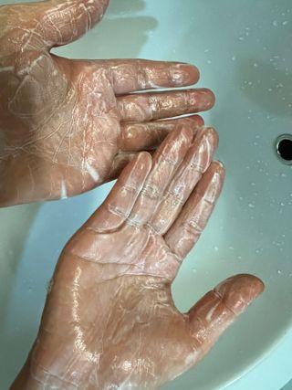 빅그린 안티 헤어로스 탈모 카렌듈라 바이옴 샴푸 500ml (지성두피용) — 5점을 준 리뷰어가 2022년 8월 올린 사용 사진