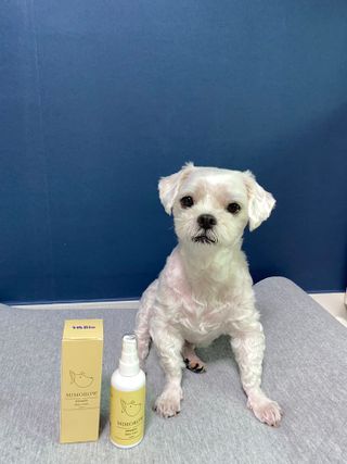 콩이님이 올린 리뷰 사진 3