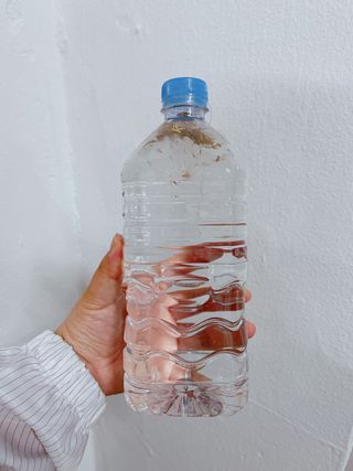 삐딱한펭귄님이 올린 리뷰 사진 4
