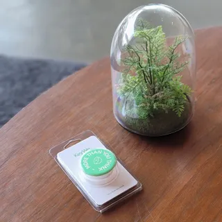 썽이mom앙꼬님이 올린 리뷰 사진 2