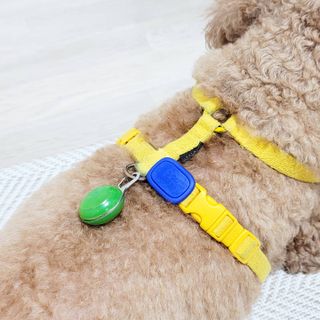 야토언니님이 올린 리뷰 사진 1