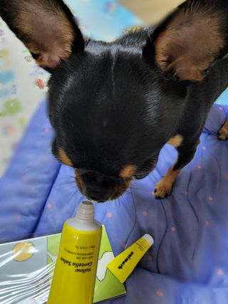 푸둘님이 올린 리뷰 사진 4