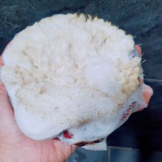 다람쥐님이 올린 리뷰 사진 1