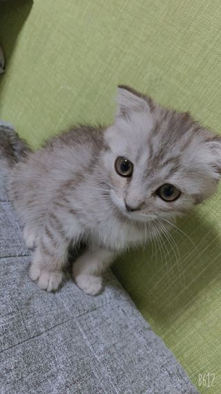 하옥이님이 올린 리뷰 사진 3