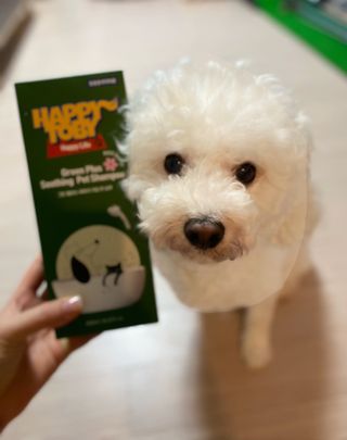 zx쏘프로님이 올린 리뷰 사진 1