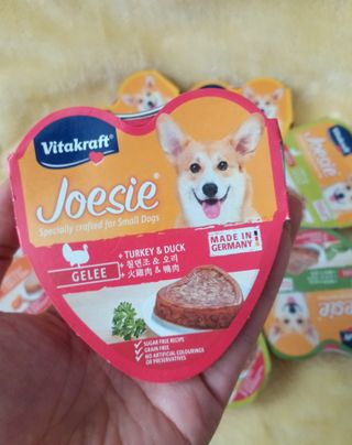 비타크래프트 조에시 하트캔 85g 강아지 습식캔 10캔 — 5점을 준 리뷰어가 2021년 7월 올린 사용 사진