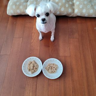 엣헴님이 올린 리뷰 사진 4