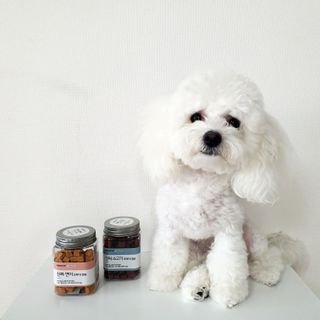 페페로니 진짜 오메가3 연어+소고기 180g+180g — 5점을 준 리뷰어가 2021년 7월 올린 사용 사진