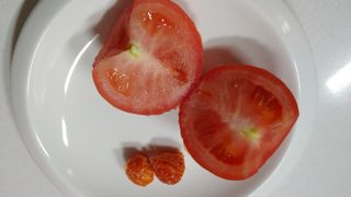 레드닥터 완숙토마토 + 통째로 동결건조한 대추방울토마토 — 5점을 준 리뷰어가 2022년 12월 올린 사용 사진