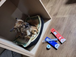 오둥이맘님이 올린 리뷰 사진 2