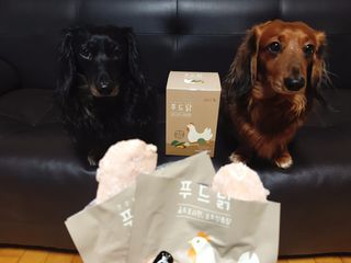 도그퓨어 푸드닭 강아지 닭고기 통살 애견간식 오리지널/차전자피/초록입홍합 — 5점을 준 리뷰어가 2021년 11월 올린 사용 사진