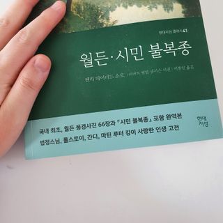 아유유잉님이 올린 리뷰 사진 3