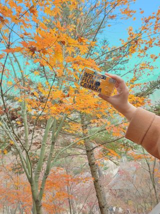 엘라유님이 올린 리뷰 사진 1