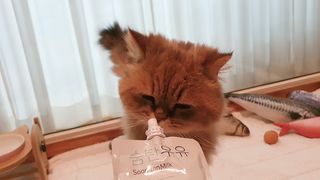 김빠비님이 올린 리뷰 사진 1