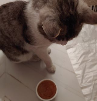 kijoco님이 올린 리뷰 사진 4