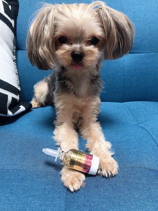 무지조타 반려동물용 꽃으로만든영양제 헬리코디펜스 15ml — 5점을 준 리뷰어가 2021년 8월 올린 사용 사진