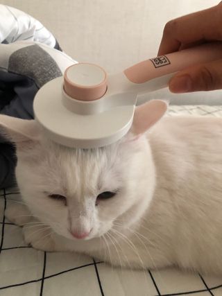 마요마요님이 올린 리뷰 사진 1