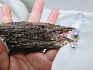 나노힐 르비에메르 소이 샴푸 300ml 구매평 — 5점을 준 리뷰어가 2024년 7월 올린 사용 사진