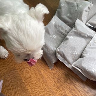 초코송이님이 올린 리뷰 사진 4