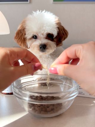 ISTJ지나일상님이 올린 리뷰 사진 4