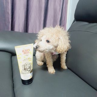 재님이 올린 리뷰 사진 1