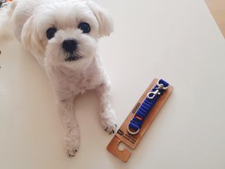 beanmom님이 올린 리뷰 사진 1