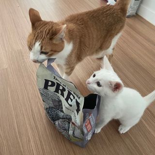 꽃송이님이 올린 리뷰 사진 3