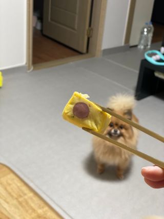 눕히님이 올린 리뷰 사진 3