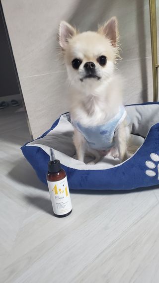 티나님이 올린 리뷰 사진 1