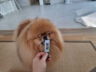 아롱이님이 올린 리뷰 사진 2