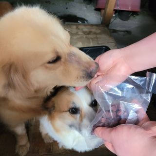 tlso96님이 올린 리뷰 사진 2